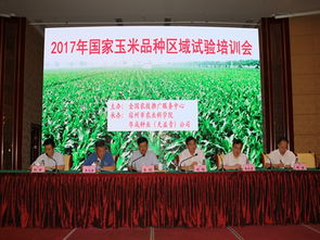 技术推广服务中心——加速技术转化与产业升级的桥梁