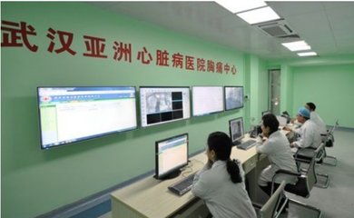 武汉顶尖心脏病医院及其技术推广服务探析