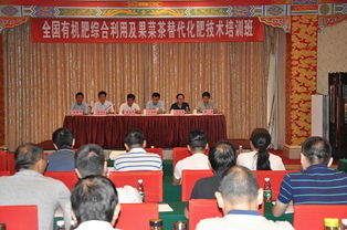 技术推广服务中心 创新与应用的桥梁